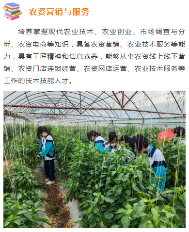 農(nóng)資營銷與服務(wù)